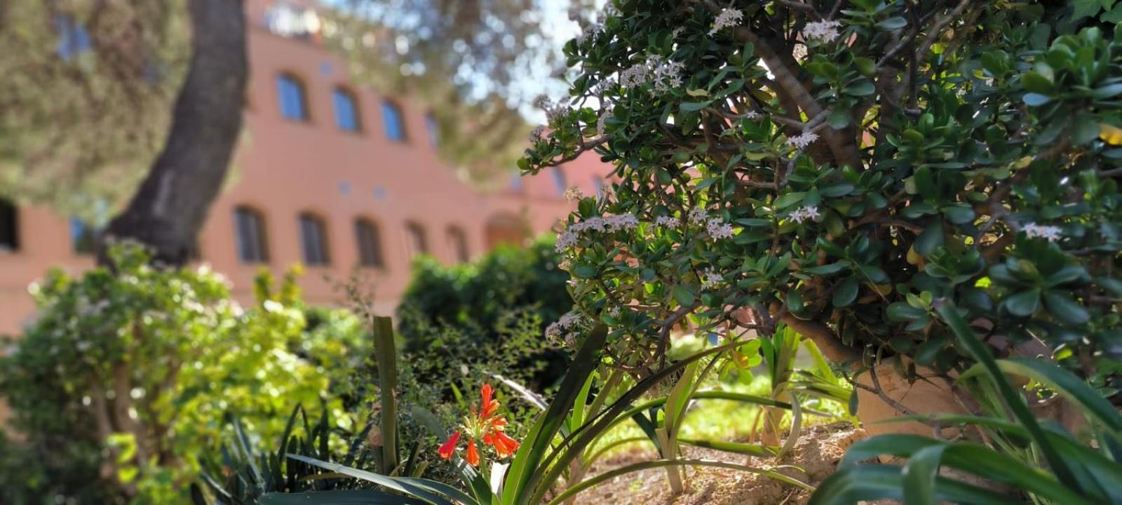 Albergue Rosa Molas Arrabal de Jesus Ngoại thất bức ảnh
